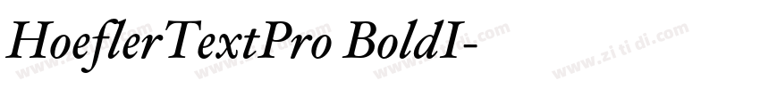 HoeflerTextPro BoldI字体转换